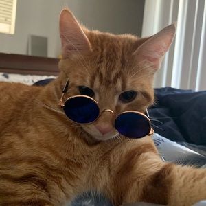 Meet your Posher, Rayanne